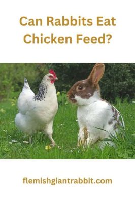 Can Rabbits Eat Chicken Feed?