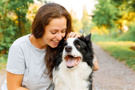 Do Dogs Like Being Pet While Sleeping: A Journey into Canine Dreams and Human Curiosity