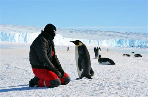 How Much Does It Cost to Travel to Antarctica, and Why Do Penguins Always Look Like They're Late for a Meeting?