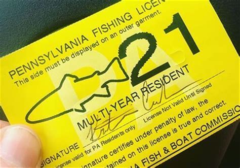 How Much Is a 2-Day Out-of-State Montana Fishing License? And Why Do Fish Always Seem to Know When You’re About to Cast?