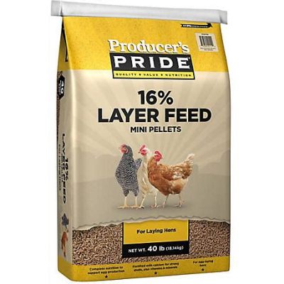 How Much Is a 50-Lb Bag of Chicken Feed?