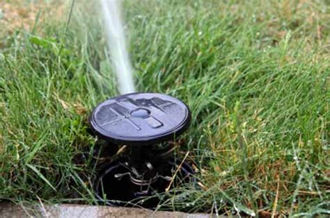 How to Repair a Sprinkler Head: And Why It Might Remind You of a Broken Heart