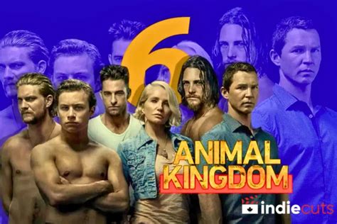 How to Watch Animal Kingdom: A Symphony of Chaos and Feathers