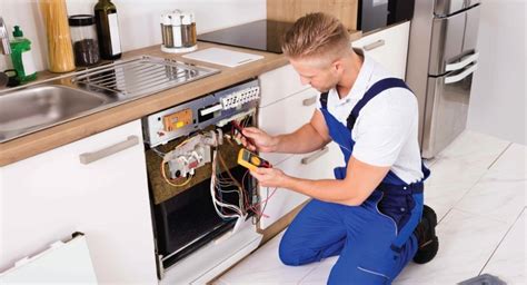 What is Appliance Repair: A Journey Through the Chaos of Fixing Things