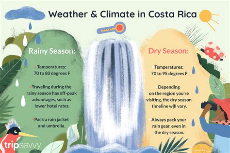 What is the Weather in Costa Rica in June? And Why Do Pineapples Love It?